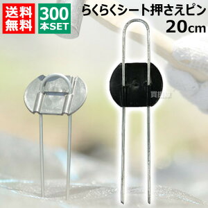 rj[ 炭炭V[gs 20cm i300{j yDAIM s V[g V[gs }` }`V[g |pi ƒ؉ _Ǝ Œ Gh~V[g G΍