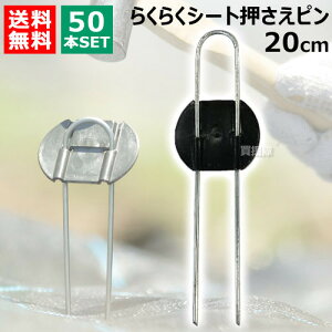 rj[ 炭炭V[gs 20cm i50{j yDAIM s V[g V[gs }` }`V[g |pi ƒ؉ _Ǝ Œ Gh~V[g G΍z