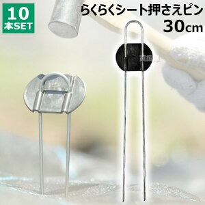 rj[ 炭炭V[gs 30cm i10{j yDAIM s V[g V[gs }` }`V[g |pi ƒ؉ _Ǝ Œ Gh~V[g G΍z