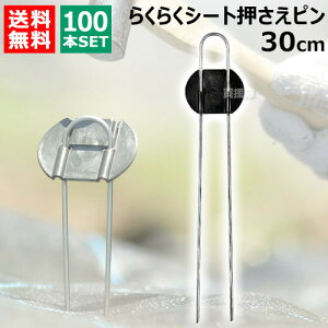 rj[ 炭炭V[gs 30cm i100{j yDAIM s V[g V[gs }` }`V[g |pi ƒ؉ _Ǝ Œ Gh~V[g G΍