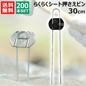 rj[ 炭炭V[gs 30cm i200{j yDAIM s V[g V[gs }` }`V[g |pi ƒ؉ _Ǝ Œ Gh~V[g G΍