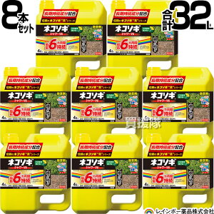 y8{Zbg v32LzC{[i lR\MV[ V6 4L×8{ ŷ܂܎g V[^Cv 6Ԍʂ  OzT[g _ K[fjO G ΍ G΍ | 