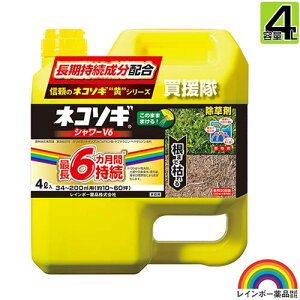 C{[i lR\MV[ V6 4L ŷ܂܎g V[^Cv 6Ԍʂ  OzT[g _ K[fjO G ΍ G΍ |   S ~J ʎ o