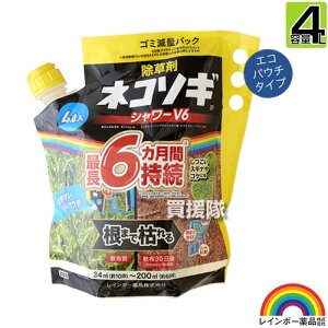 C{[i lR\MV[ V6 GRpE` 4L ŷ܂܎g V[^Cv 6Ԍʂ  OzT[g _ K[fjO G ΍ G΍ |   S ~J