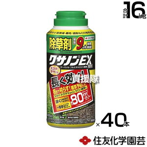 ZFw| NTmEX 400g×40{ v16kg y ܂Ō͂炷 G  \h G ΍ G΍ |    ԏ n H  뉀 XXL TT XMiɂ  M J^