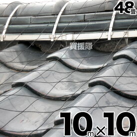 屋根瓦飛散防止用ネット[48畳] [サイズ:10m×10m]【家 マイホーム 瓦 屋根瓦 飛散 対策 防風ネット 防災 台風 強風 突風 竜巻 防風 屋根瓦飛散防止ネット ハウス ビニールハウス おさえ 押さえ 屋根用ネット 備え 保護 池 鳥よけ トタン 納屋】【おしゃれ おすすめ】 [CB99]