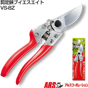 AXR[|[V uCGXGCg VS-8Z y ʎ  X   s ͂ oT~ K[fjO |p͂ zy ߁z[CB99]
