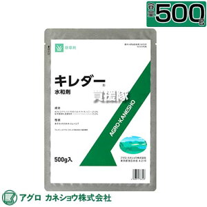 AOJlVE L_[a 500g yCVNQ [jSP  RP   p  St Œn Ԃޓ̌l  t ł߂Ă܂ ߃^Cv t^Cv 