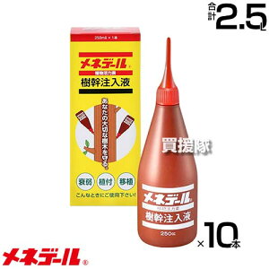 lf[  250cc×10{ yɒڒ f mȌ ؂ ؂At ؂ڐA t̐Fǂ AɕKvȐ A̐ T|[gzy 