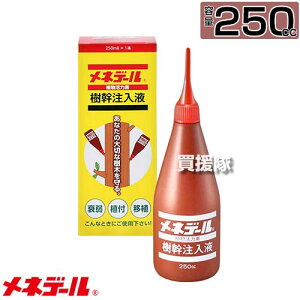 lf[  250cc yɒڒ f mȌ ؂ ؂At ؂ڐA t̐Fǂ AɕKvȐ A̐ T|[gzy ߁z[