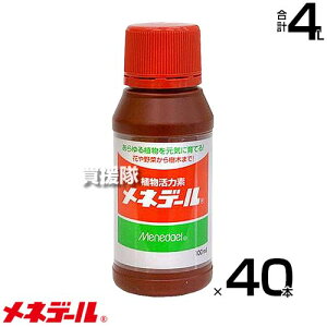 lf[ A͑f 100cc×40{ y100ml   A ÃTvg g  ܂ At Aւ ̊̓Abv ƒ؉ |   ؂ ԕc ؕc 