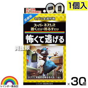 C{[i X[p[lYXuE݂ 1×30 y˂ l lY~  쏜  ގ  ΍ `qxōp ꂪɂ 1zy