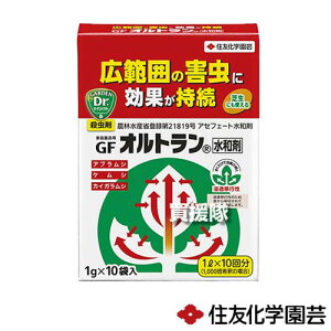 ZFw| Iga (1g×10ܓ) yE E Q h ΍ ƒp | ƒ؉ p Lxc ܂˂  AuV JCKV PV ђ   A  ϗt 