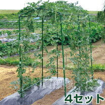 楽天市場】きゅうり 支柱 セットの通販