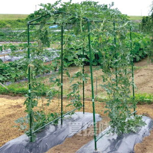 rj[ 󒆍͔|IZbg _[NO[ TDS-1.8-Hyƒ؉ LE S[ GhE ʃXCJ ^J{` 󒆍͔| I | x pi Lbg ؉ ؍zy 