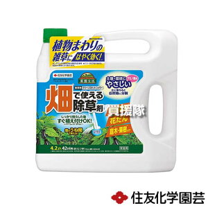 ZFw| O[XLbgV[ 4.2L×4{ yŎg  G  \h G ΍ G΍ |  ƒ؉ Ԓd Ԃ   ʎ̉ ԁzy ߁z[CB99]