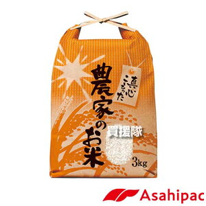 ATqpbN đ 3kgp 1 (t) _Ƃ̂ 527 ASHP-420077 yێ^Cv Rt đ  Ntg  t  V  ۊ ۑ p 蕨 v[g  v`Mtg 