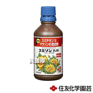 ZFw| X~\ 300ml×30{ yE E Q h ΍ ƒp |p AuV ђ PV     Ԓd ΂  zy ߁z[CB99]