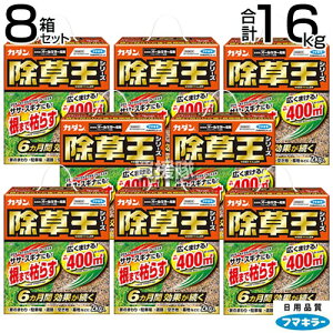 t}L[ J_  I[L[ 2kg×8Zbg y6Ԍʂ G ΍ ܂Ō͂炷  t s G΍ K[fjO |     ^Cv  S Uz 