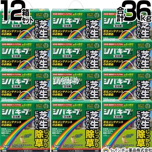 y12Zbg v36kgzC{[i VoL[vIII  3kg×12 y{  ŐɐG͂炷 Őp󏜑 ̂܂܎g NClȎG N LtG 
