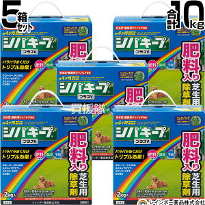 y5Zbg v10kgzC{[i VoL[vvXV 2kg×5 y{  ŐɐG͂炷 Őp  G\h 엿 ̂܂܎g NClȎG 