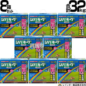 y8Zbg v32kgzC{[i VoL[vvXV 4kg×8 y{  ŐɐG͂炷 Őp  G\h 엿 ̂܂܎g NClȎG 