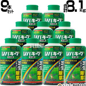 y9{Zbg v8.1kgzC{[i VoL[vIII  900g×9{ y{  ŐɐG͂炷 Őp󏜑 ̂܂܎g NClȎG N LtG 