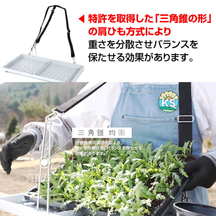 楽天市場】KSFARM スピード苗トレー 【苗 育苗 移植 運搬 運ぶ  