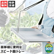 KSFARM スピード苗トレー 【苗 育苗 移植 運搬 運ぶ 持ち運び 移動 植え付け 植付 土付苗 畑 田 田んぼ …