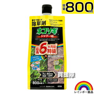 C{[i lR\MV[V6 GRpE` 800ml ŷ܂܎g V[^Cv 6Ԍʂ  OzT[g _ K[fjO G ΍ G΍ |   S ~