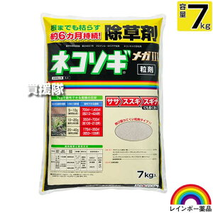 C{[i lR\MKIII  7kg y܂ł͂炷 ̂܂ܒnʂɃpp܂^Cv ̂܂܎Uz 6Ԏ  TT XXL XMi NCl G ΍ G΍  