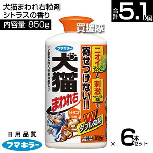 t}L[ L܂E 850g×6{Zbg VgX̍ ŷ܂܎T L悯 lR  Q ΍ L΍ ObY C^Yh~ ǌ 쌢 lR悯 ˂悯 ǔL΍ 