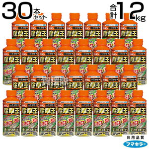 t}L[ J_  I[L[ 400g×30{Zbg y6Ԍʂ G ΍ ܂Ō͂炷  t s G΍ K[fjO |     ^Cv  S Uz 