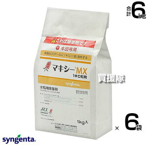 VWF^ }LV[MX1L 1kg×6܃Zbg yVRR   Ƃ c c  Cl ͔| p  G  ΍ _͔| z^C RiM ~YAIC mrG N