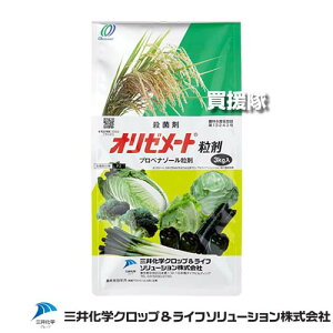 O䉻wNbvCt\[VY I[[g 3kg y Ƃ c c  Cl ͔| c  c p A h@\  Eۍ a t͕a ݌