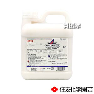 ZFw| uVo_] 5L y Cl  Ƃ c c ͔| p a ͕a h ΍ Eۍ 󒆎Uzp lw h[Uz ͂ꐫa ͕a 