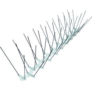 y|Cg10{zgXRR() TRUSCO 悯V[g XeXs Ch (12{) TBPS-SUS-W-12P yDIY H 悯 h XpCN gQ  Ƃ ̐Nh~  ͂ ng JX悯 L