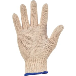 y|Cg10{zgXRR() TRUSCO ȌR 1o ڕt600g TCG600-1P yDIY H TRUSCO gXR zy ߁z[CB99]