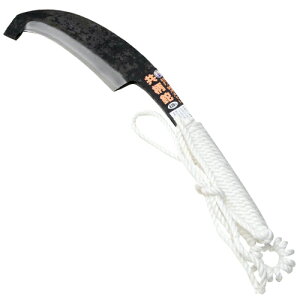 g܁EΕt[vE420G y|Cg10{zy}ł d  K[fjO |    Hzy ߁z[CB99]