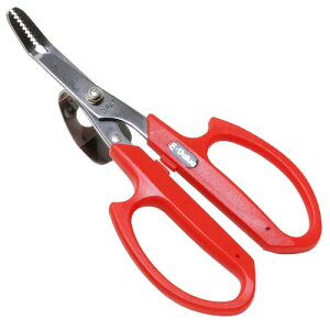 g  eRt SGJ-11 y|Cg10{zyŐ MUn   eRt ₷ XeX ς   G  ؉  L _ _@zy 