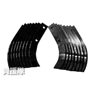 z_ ܂F220p (W) L^܌Zbg 10736y ߁z [CB99]