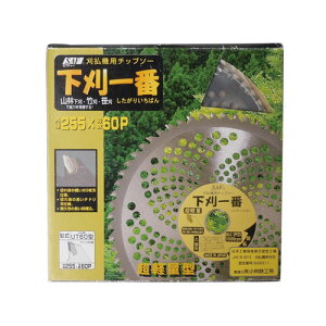 @p n ֐n `bv\[ SAF  - 255mm 60P y@ n @ `bv\[   ֐n  ւn   @ i @zy ߁z [CB99]