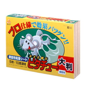 Zn[Wp lY~߂s^`[ USV[g 唻 Ɩp 5(10ʘA) TKTBR-030019 y4546677030019 Zn[Wp S.E.H. GXEC[EGC` lY~ ߂ s^`[ U S V[