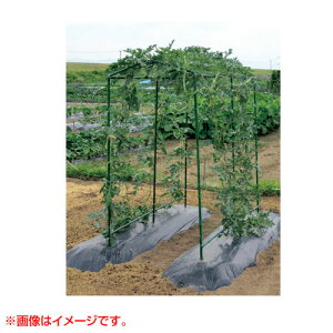 野菜 支柱 その他の農業資材 ガーデニング用品の人気商品 通販 価格比較 価格 Com