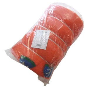 �����˒� PE�h���� 20mm�p 18.0m×36.0m [�I�����W�F/400D] G200 500513 [�J���[:�I�����W]