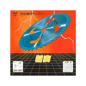 ѓSH @p`bv\[ A^ 255X40P 100789y@ n @ `bv\[   ֐n  ւn   @ i @zy ߁z[CB99]