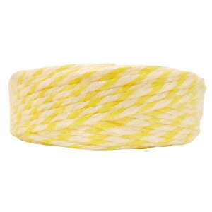 iH ybs[[v 4mm×100m / PY-10.100 [J[:/] yPETEPP ROPE  nCubh[v 茋   ؂ҁ[[ x _炢R LтɂR xRzy