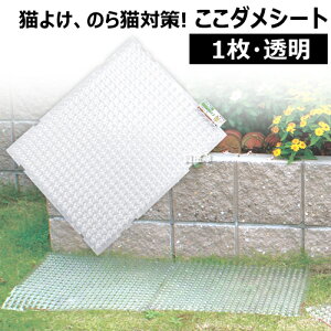 L悯 _V[gi^CvjPi rj[yL΍ lR̃C^Y   gQgQ  ƒ؉ K[fjOpi DIY _V[g ^Cv Ƃ߂ ڗȂzy