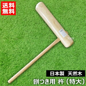 ~YL ݂ n  iVR {j y݂    s  p n  wZs     Nn N Cxgzy ߁z[CB99]