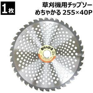 @p`bv\[ 255×40P ߂Ⴉ VQ y255mm ֐n ւn  n ς ւ Օi @p n @pn n @ `bv\[    ւn   @